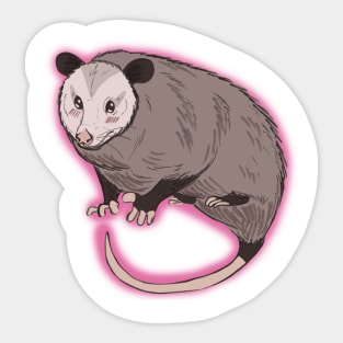 Shy Possum Sticker